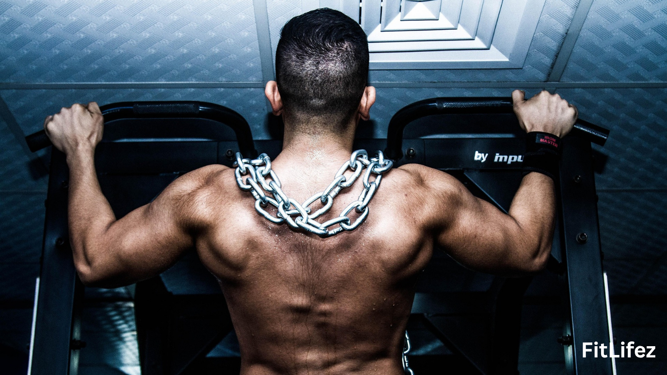 Planet Fitness Workout Plan