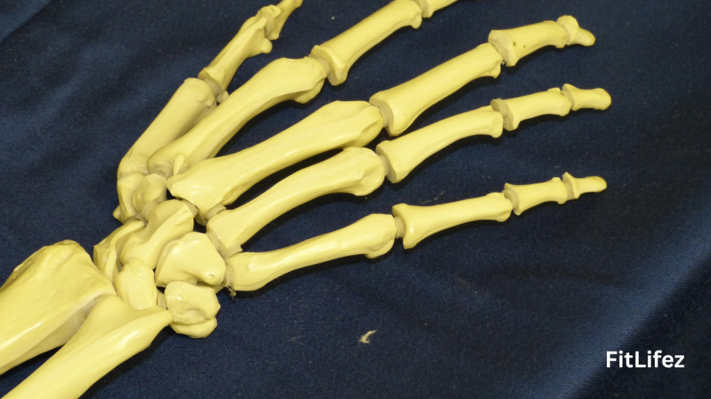 Temporomandibular Joint Dysfunction
