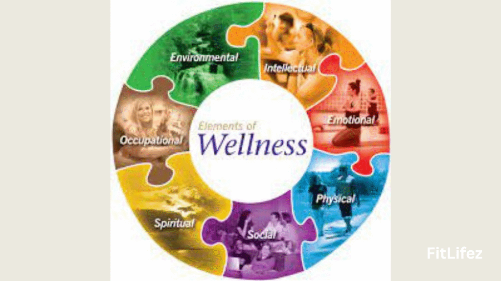 What Are the 7 Areas of Wellness?