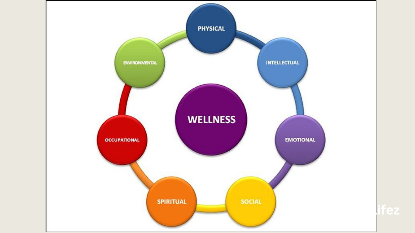 What Are the 7 Areas of Wellness?